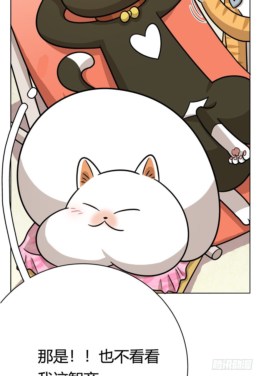 《回到过去变成猫外传》第43爪 想不到的结局（下） 第27页