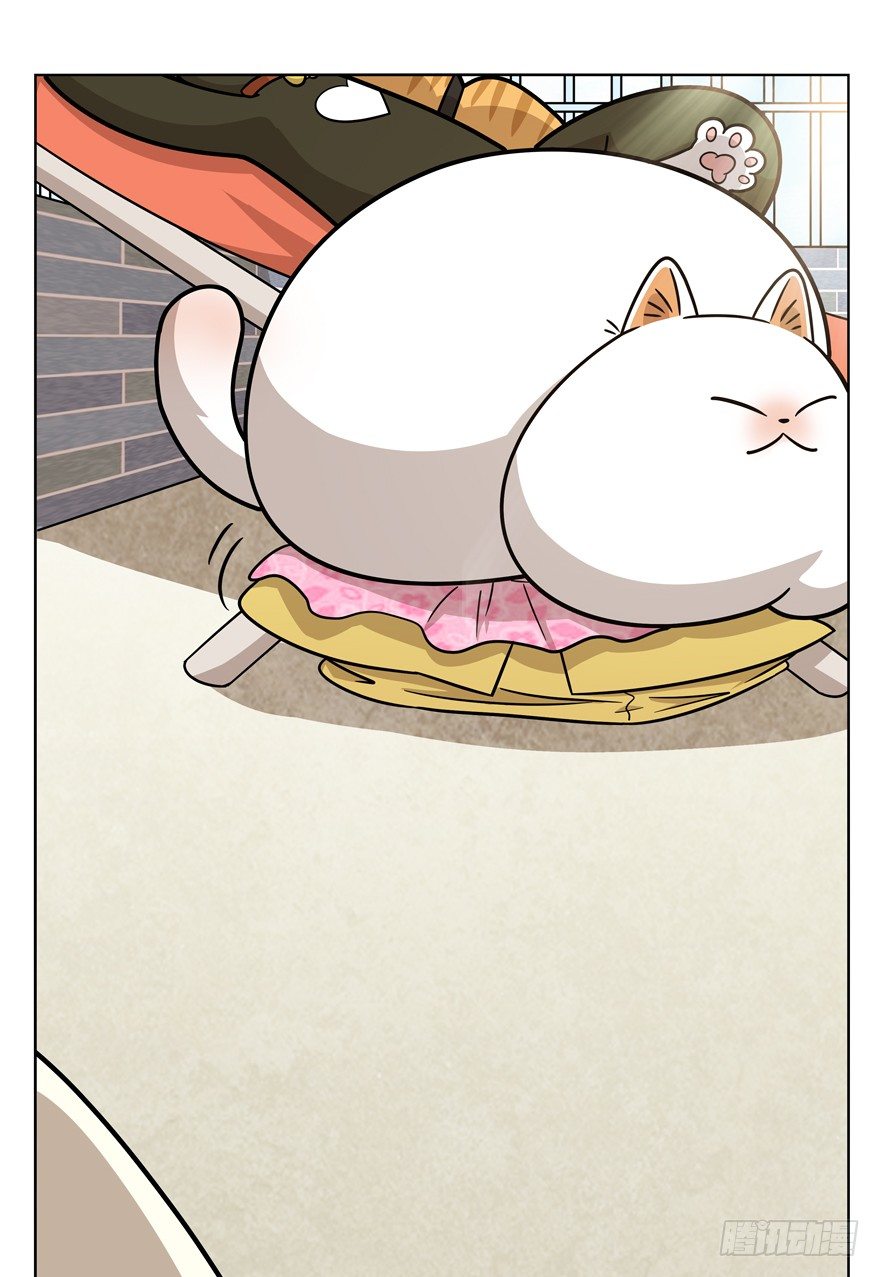 《回到过去变成猫外传》第43爪 想不到的结局（下） 第29页