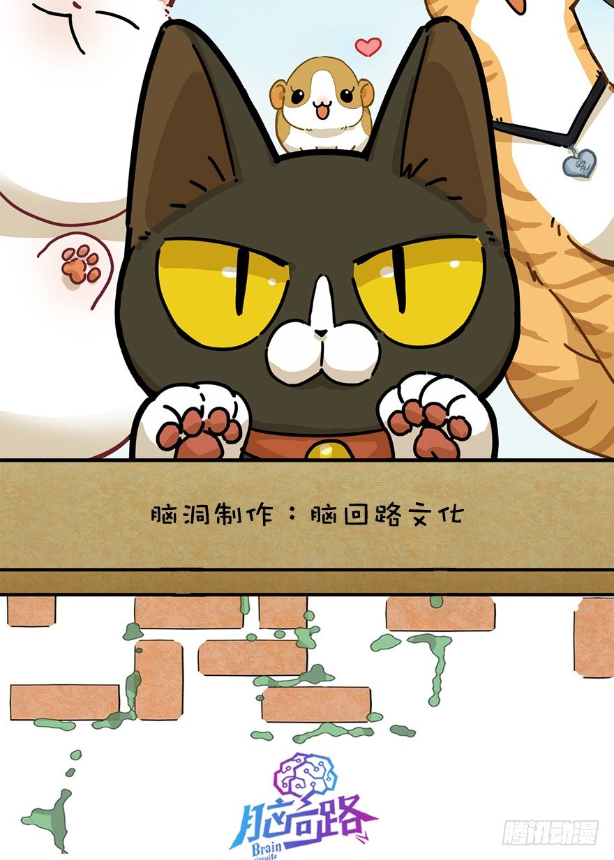 《回到过去变成猫外传》第43爪 想不到的结局（下） 第2页