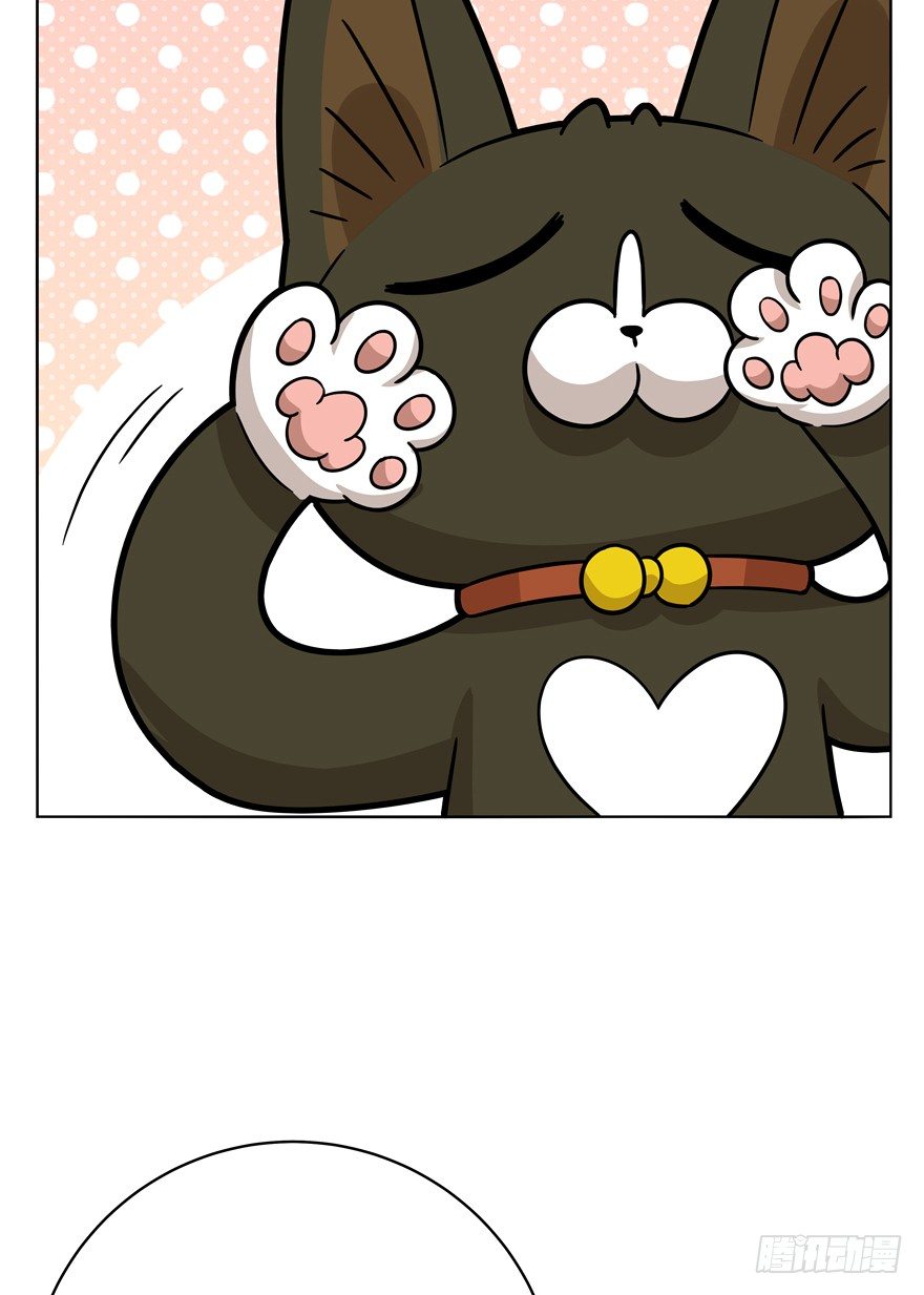 《回到过去变成猫外传》第43爪 想不到的结局（下） 第6页