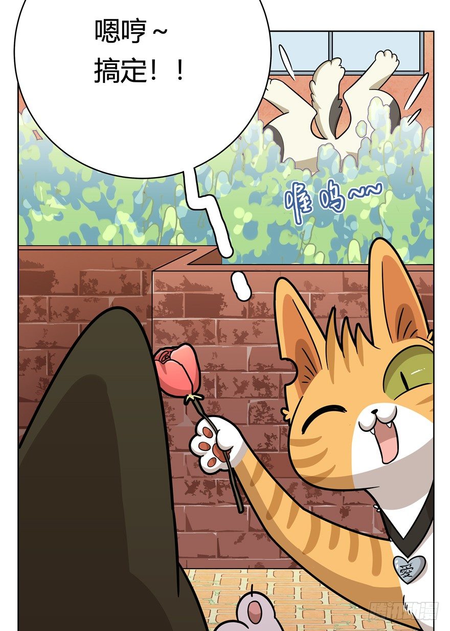 《回到过去变成猫外传》第43爪 想不到的结局（下） 第7页