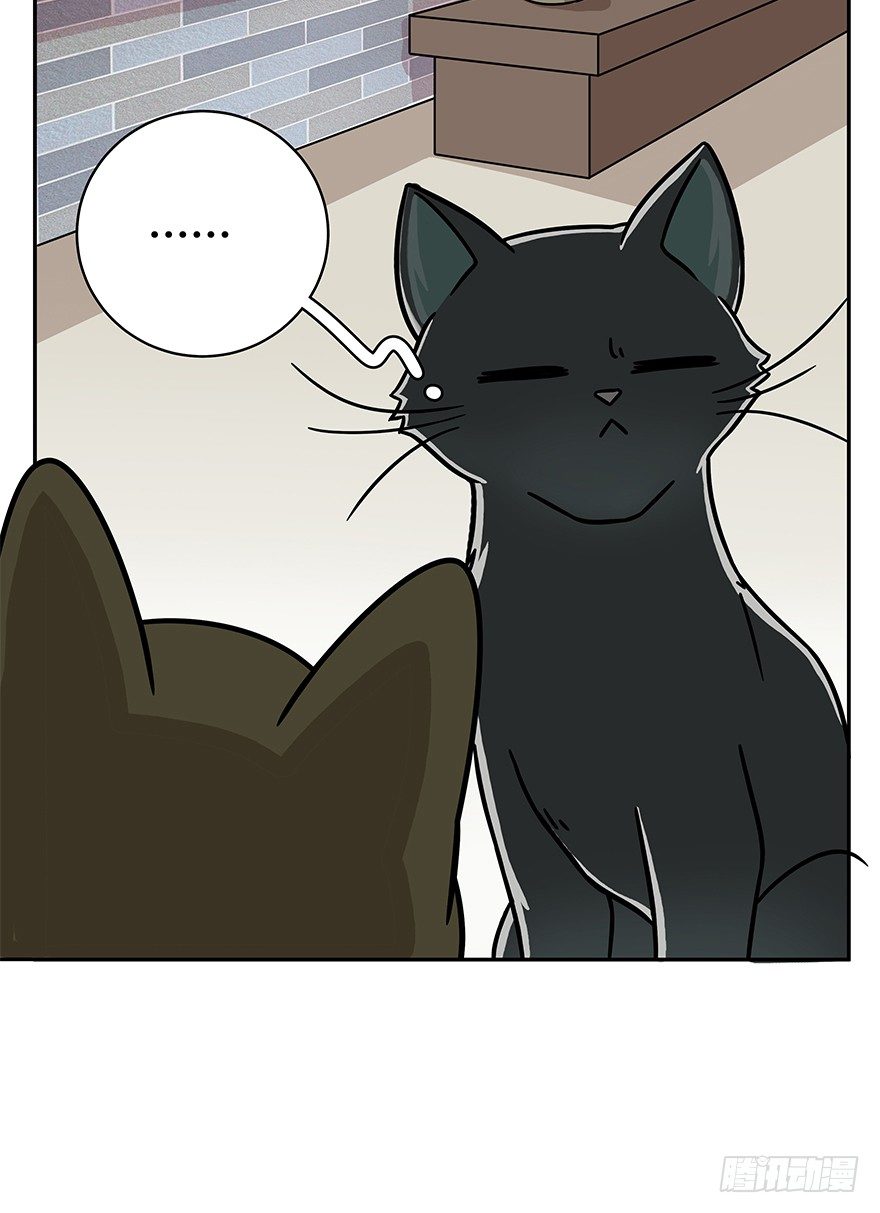 《回到过去变成猫外传》第49爪 狐假虎威 第13页