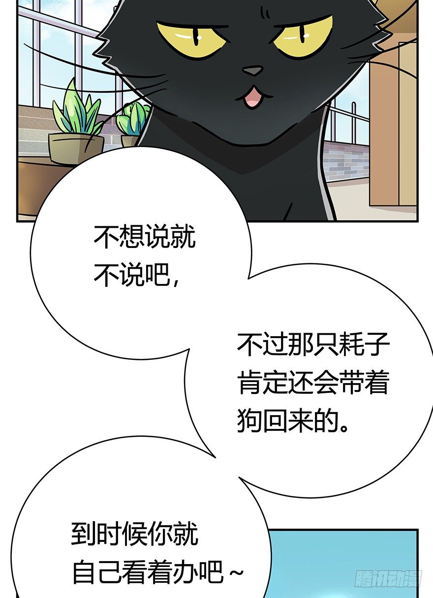 《回到过去变成猫外传》第49爪 狐假虎威 第15页