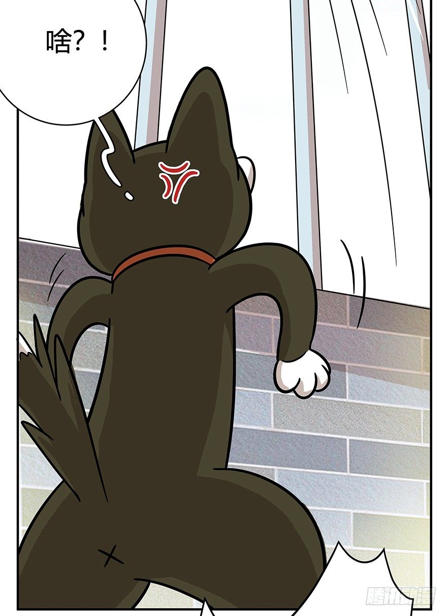 《回到过去变成猫外传》第49爪 狐假虎威 第17页