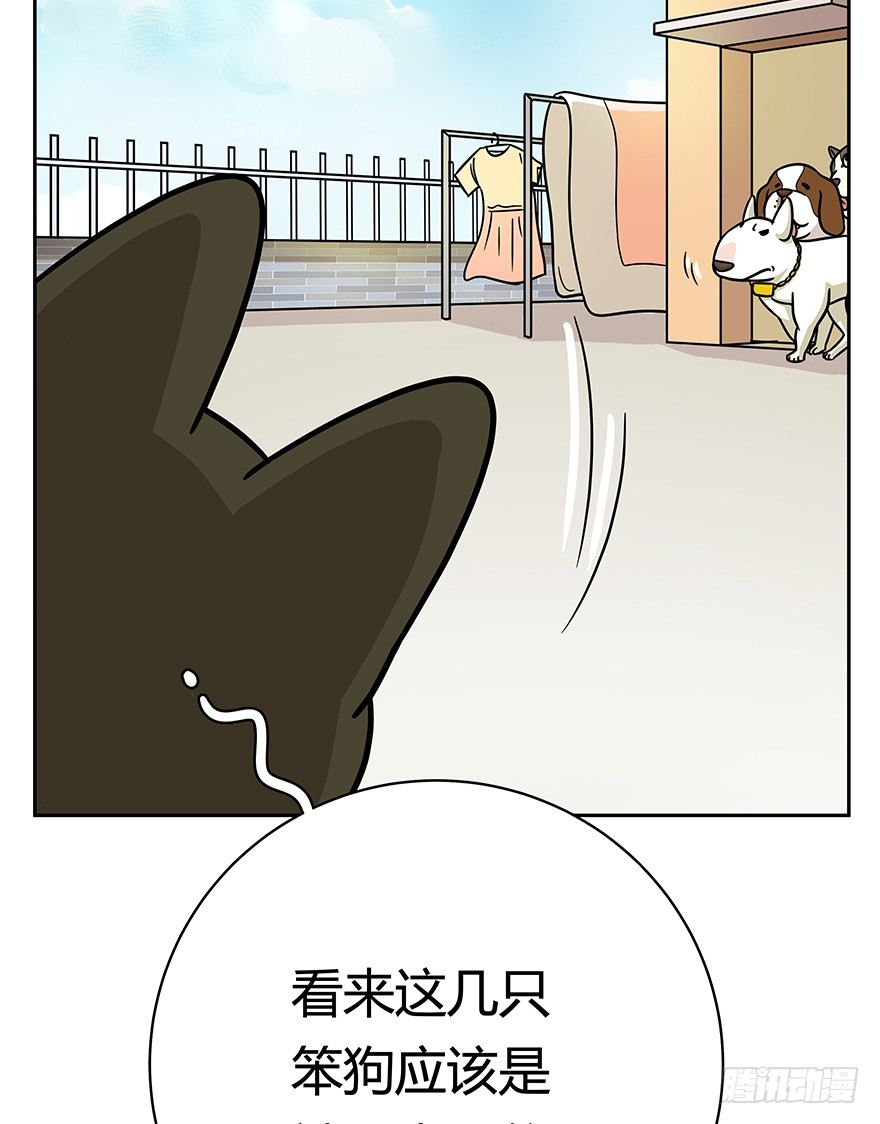 《回到过去变成猫外传》第49爪 狐假虎威 第27页