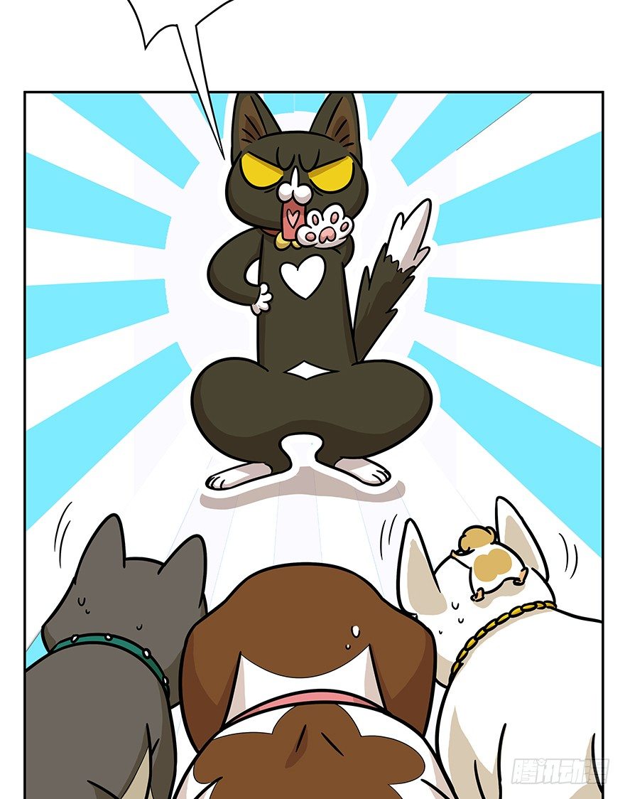 《回到过去变成猫外传》第49爪 狐假虎威 第29页