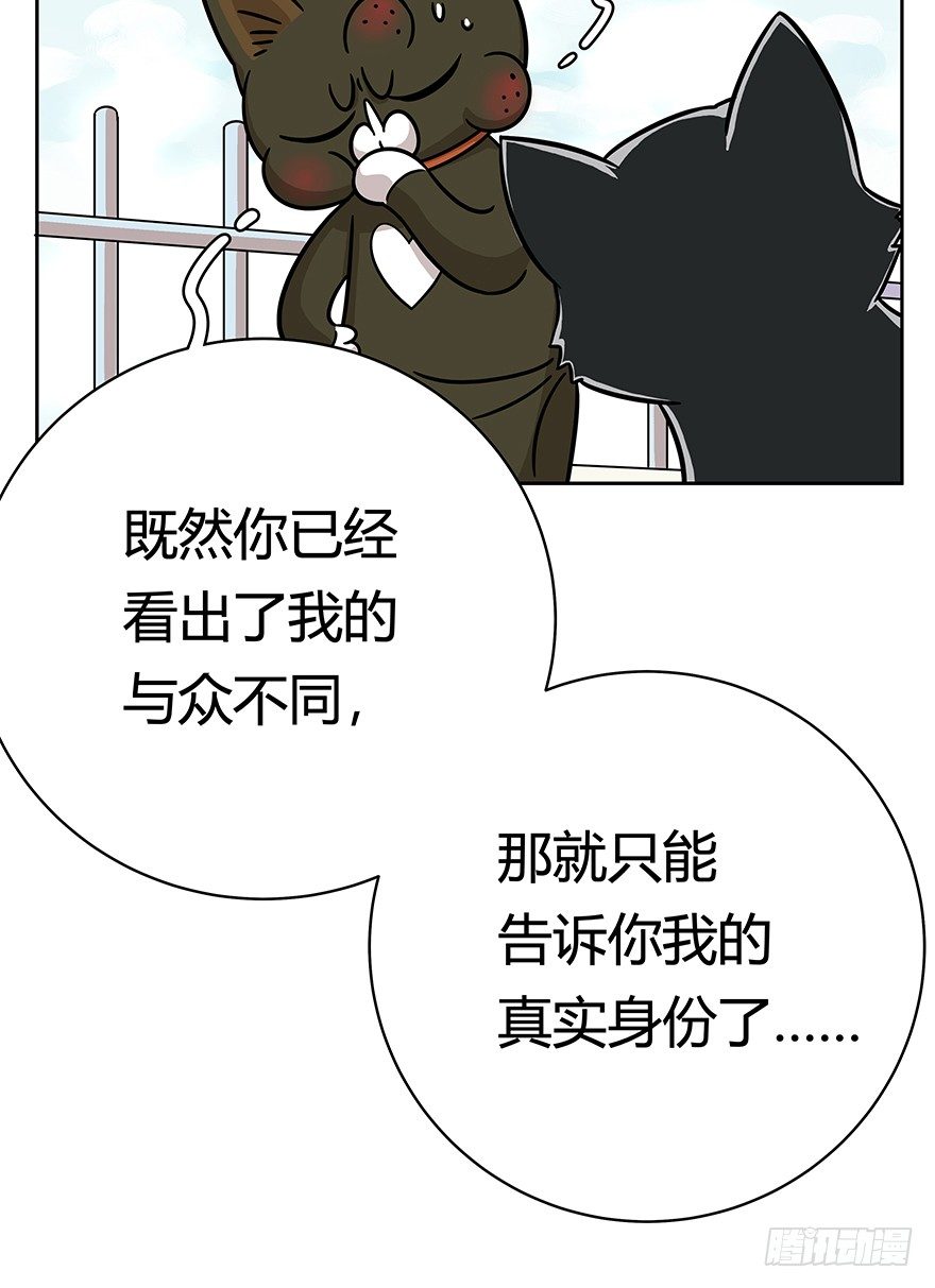 《回到过去变成猫外传》第49爪 狐假虎威 第6页