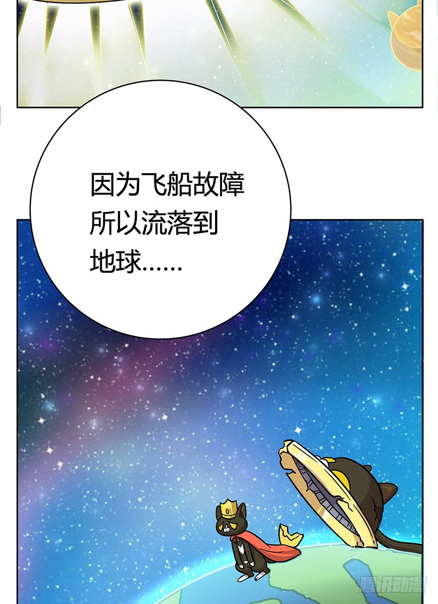 《回到过去变成猫外传》第49爪 狐假虎威 第8页