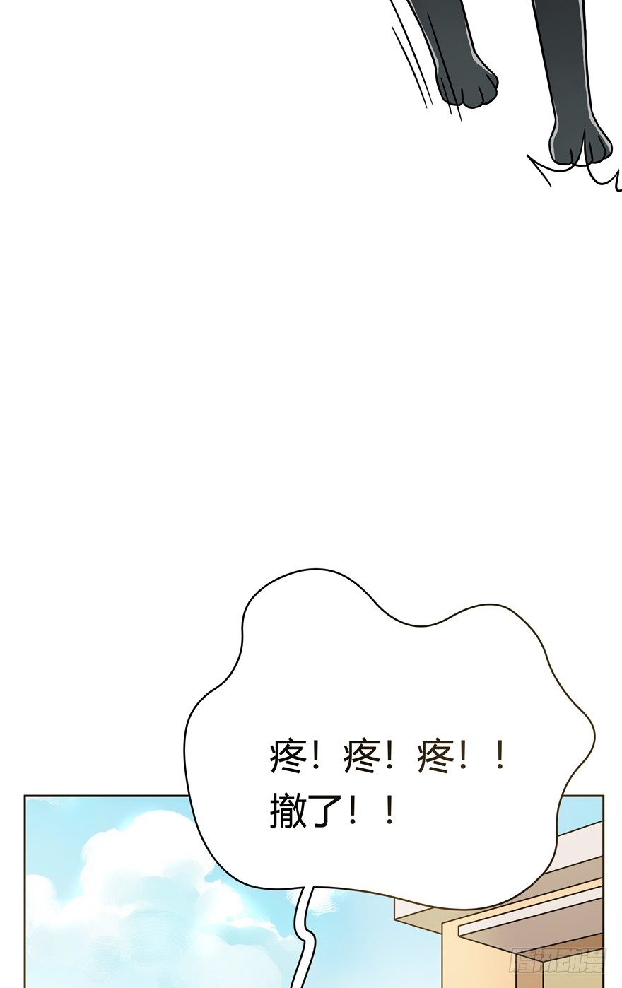《回到过去变成猫外传》第48爪 强力外援（下） 第13页