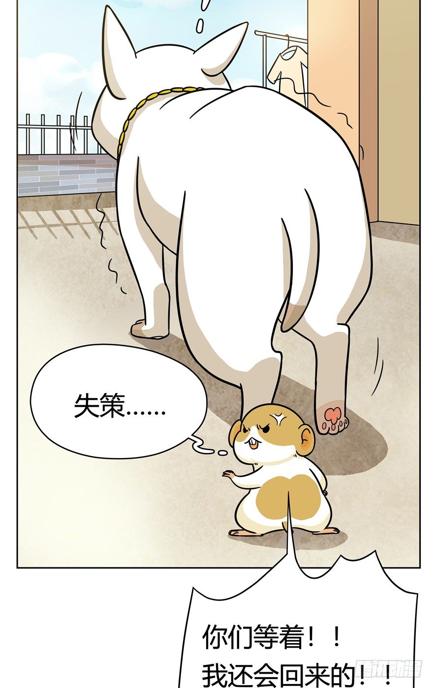 《回到过去变成猫外传》第48爪 强力外援（下） 第14页