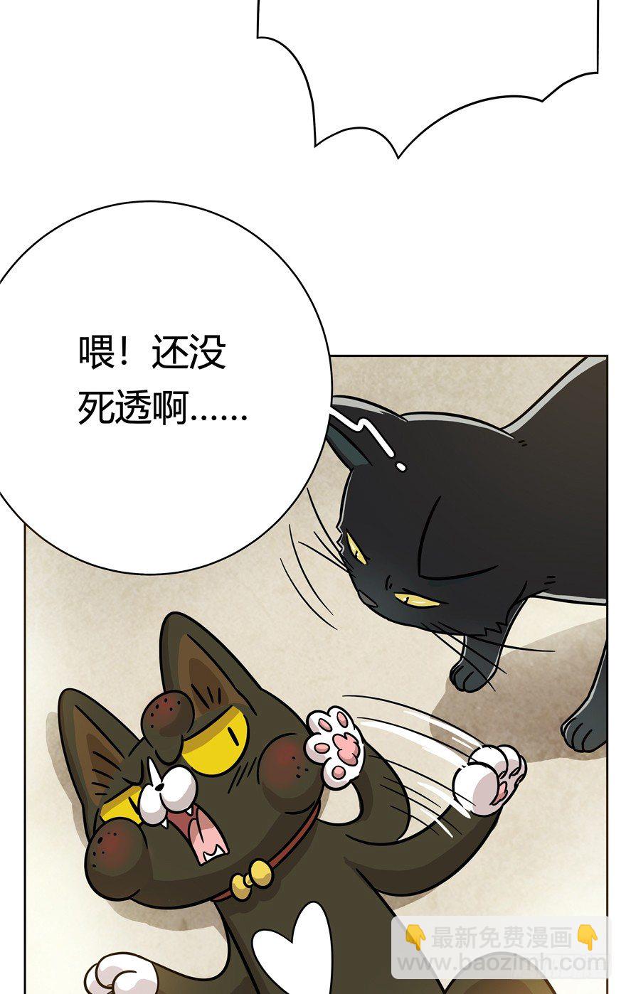 《回到过去变成猫外传》第48爪 强力外援（下） 第15页