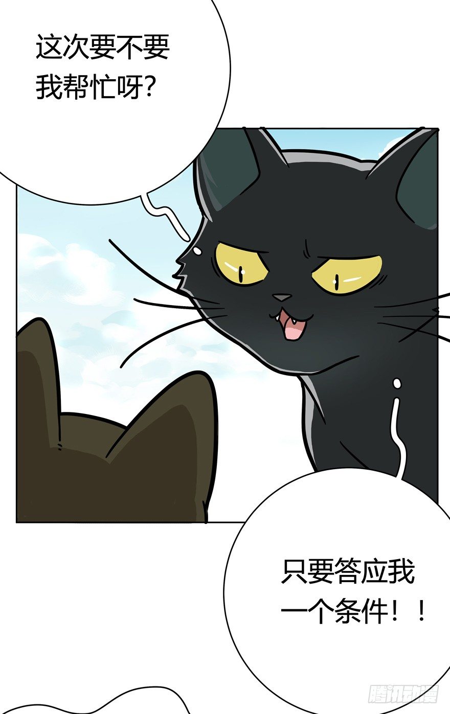 《回到过去变成猫外传》第48爪 强力外援（下） 第17页
