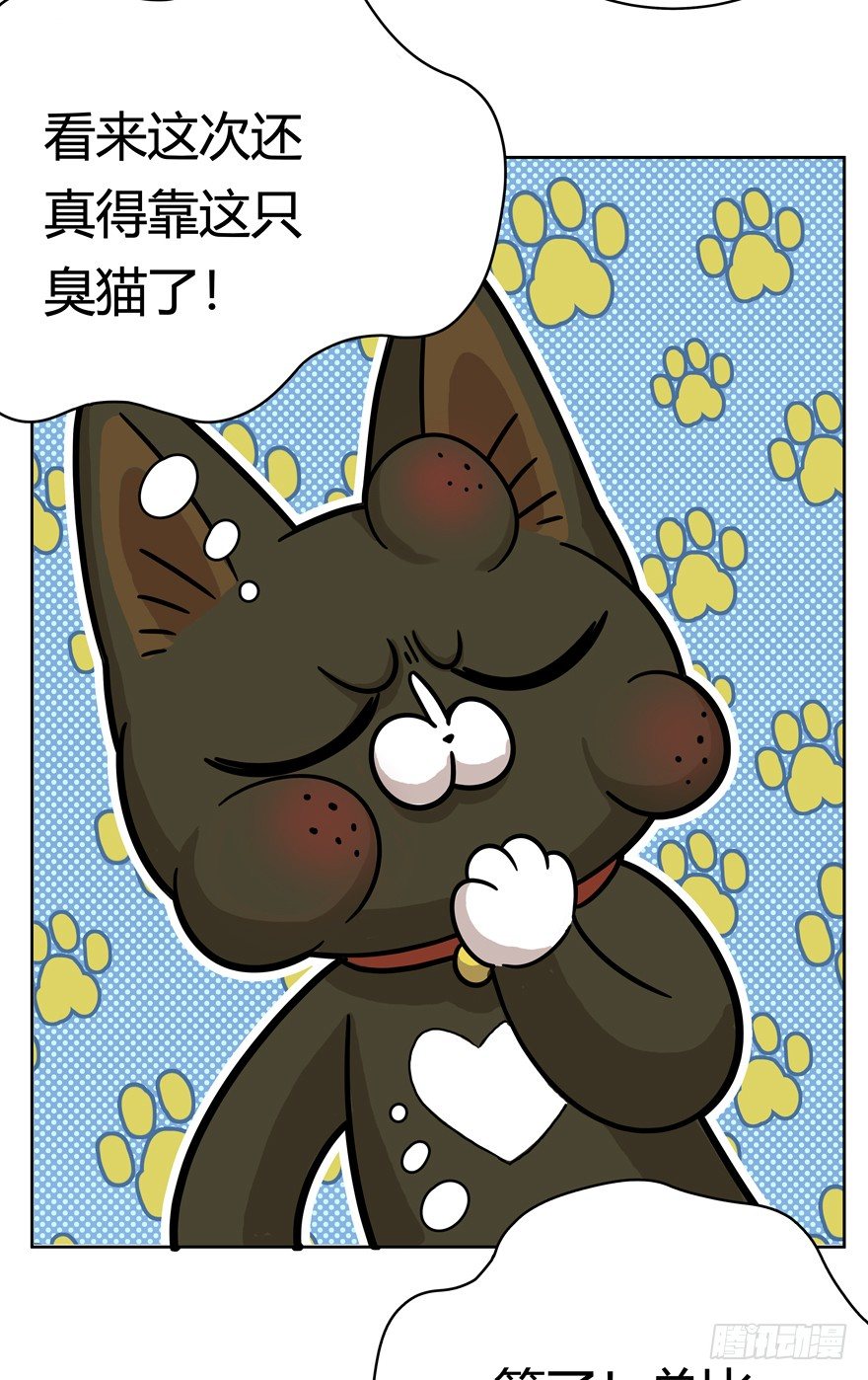 《回到过去变成猫外传》第48爪 强力外援（下） 第18页