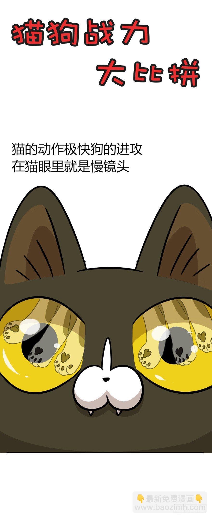 《回到过去变成猫外传》第48爪 强力外援（下） 第21页