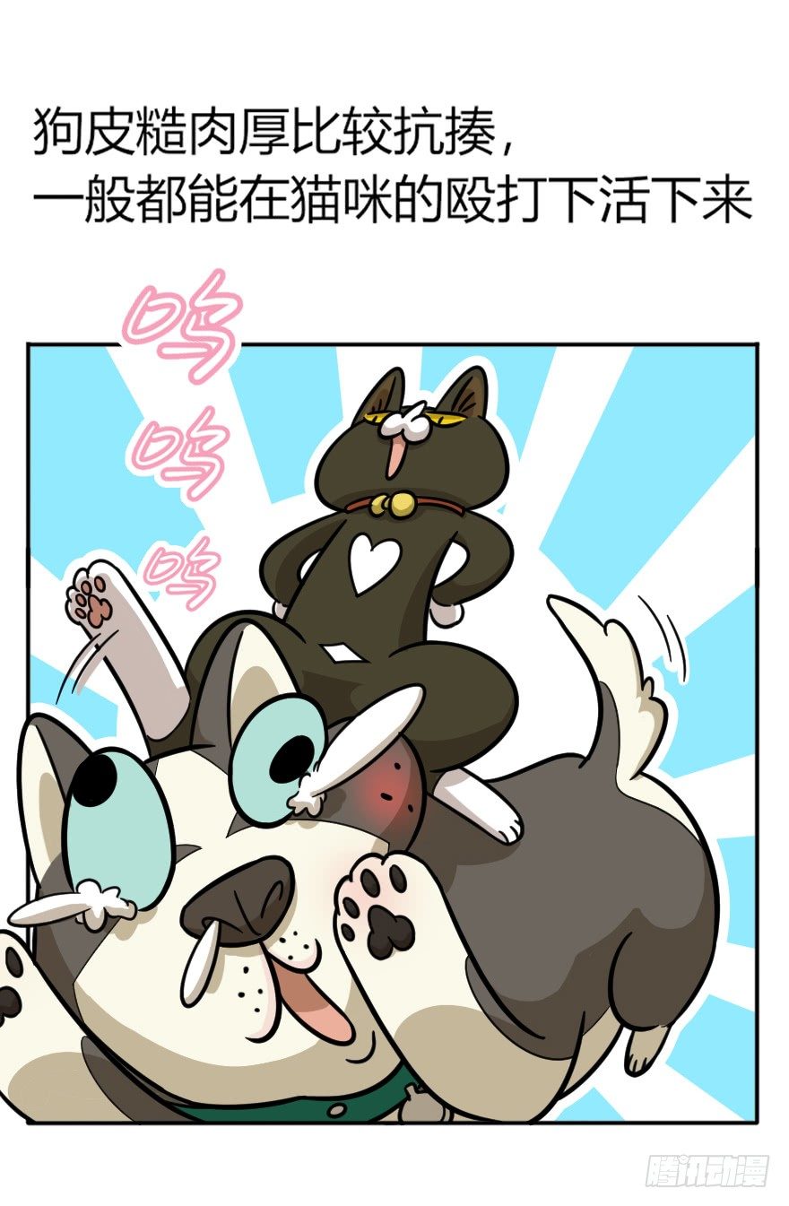 《回到过去变成猫外传》第48爪 强力外援（下） 第23页