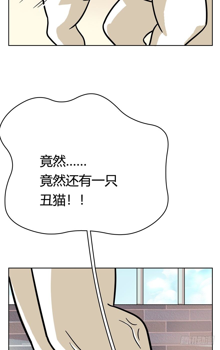 《回到过去变成猫外传》第48爪 强力外援（下） 第4页