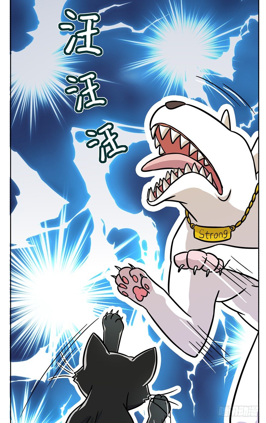《回到过去变成猫外传》第48爪 强力外援（下） 第7页