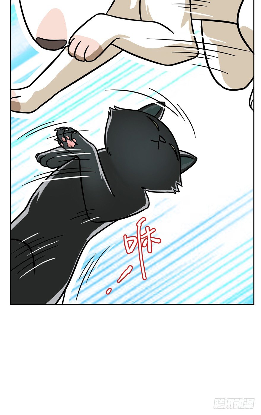 《回到过去变成猫外传》第48爪 强力外援（下） 第9页