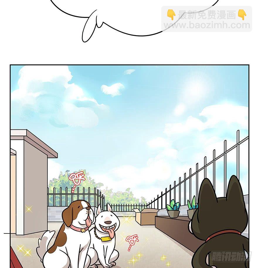 《回到过去变成猫外传》第50爪 送礼（上） 第11页