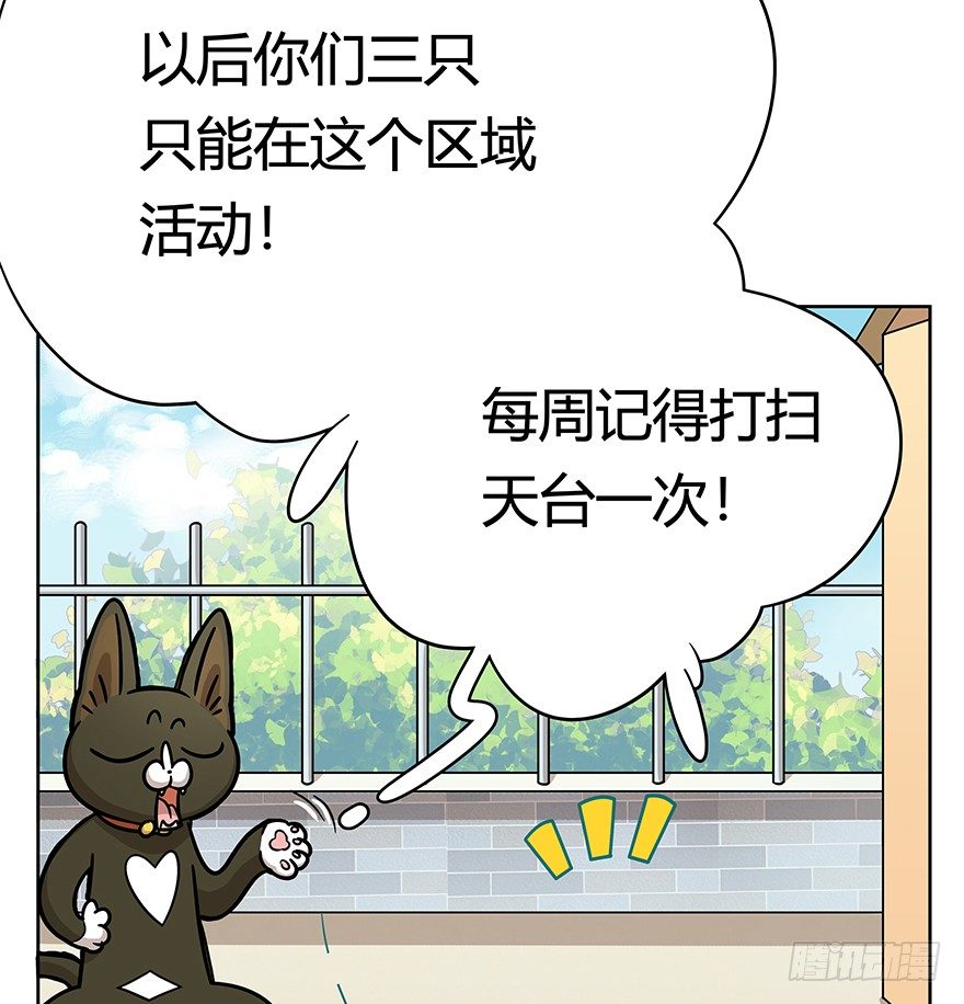 《回到过去变成猫外传》第50爪 送礼（上） 第13页