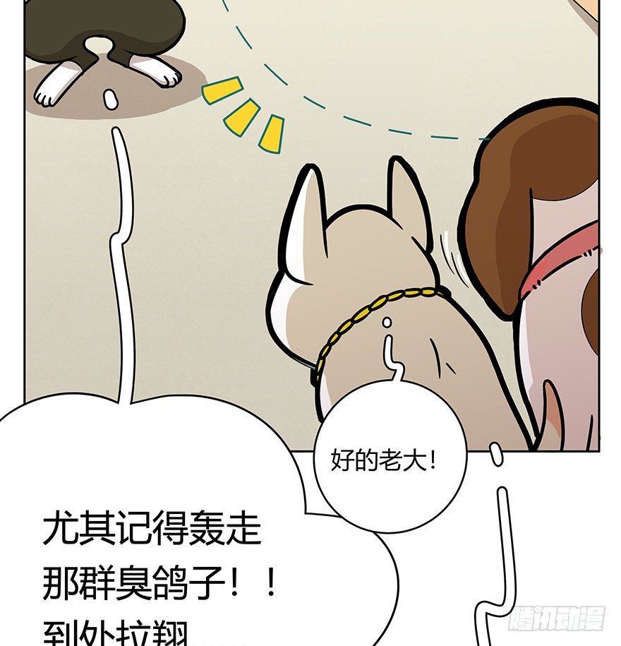 《回到过去变成猫外传》第50爪 送礼（上） 第14页