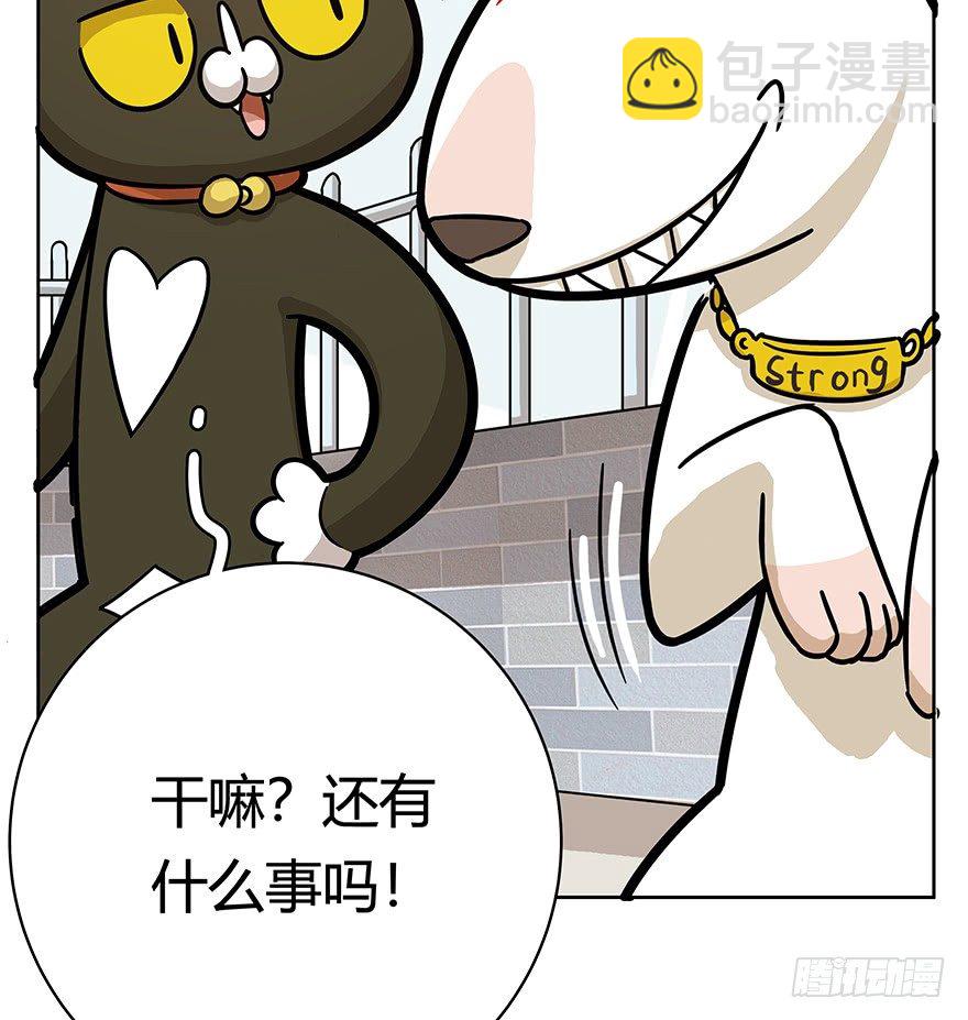 《回到过去变成猫外传》第50爪 送礼（上） 第17页