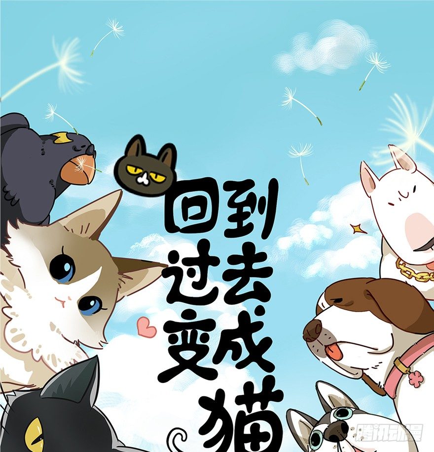 《回到过去变成猫外传》第50爪 送礼（上） 第1页