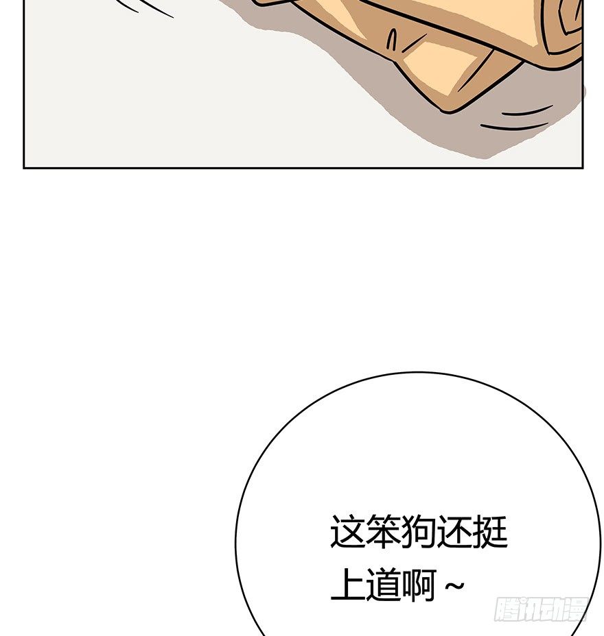 《回到过去变成猫外传》第50爪 送礼（上） 第20页