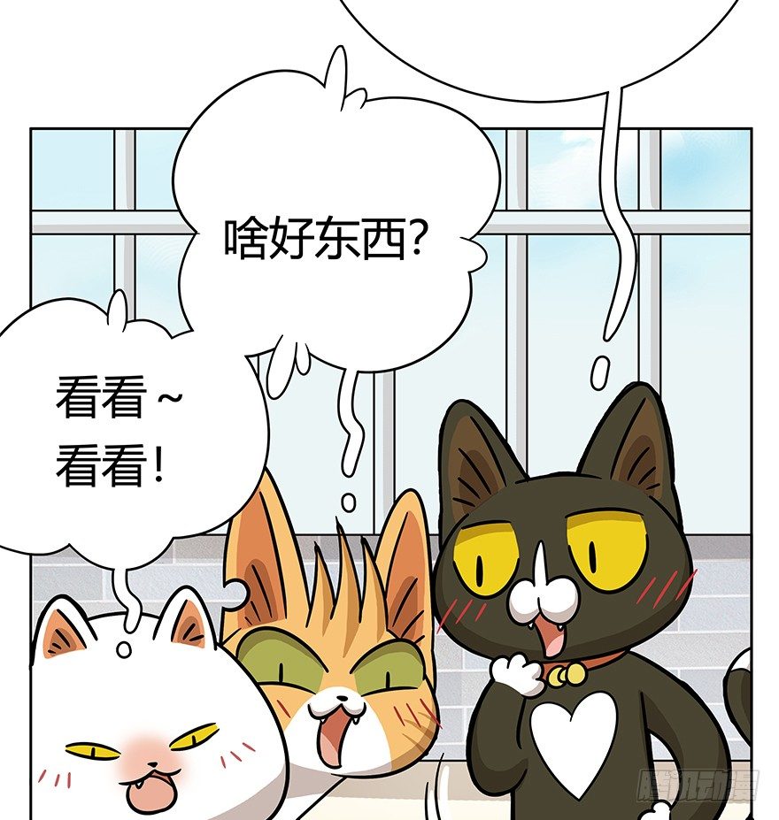 《回到过去变成猫外传》第50爪 送礼（上） 第21页