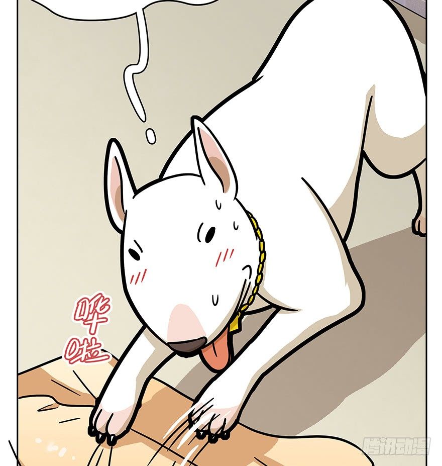 《回到过去变成猫外传》第50爪 送礼（上） 第23页