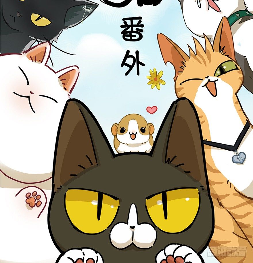 《回到过去变成猫外传》第50爪 送礼（上） 第2页