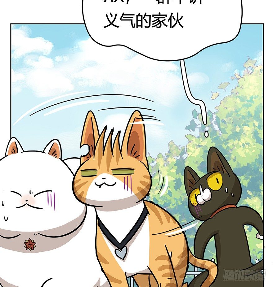 《回到过去变成猫外传》第50爪 送礼（上） 第31页