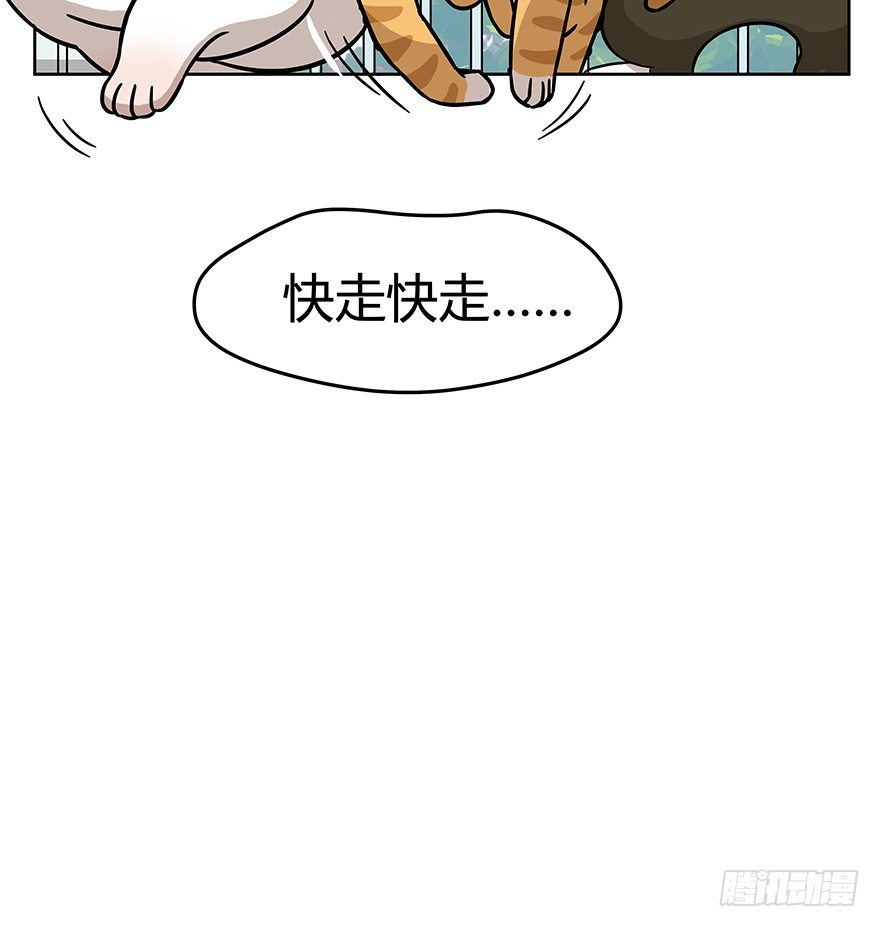 《回到过去变成猫外传》第50爪 送礼（上） 第32页