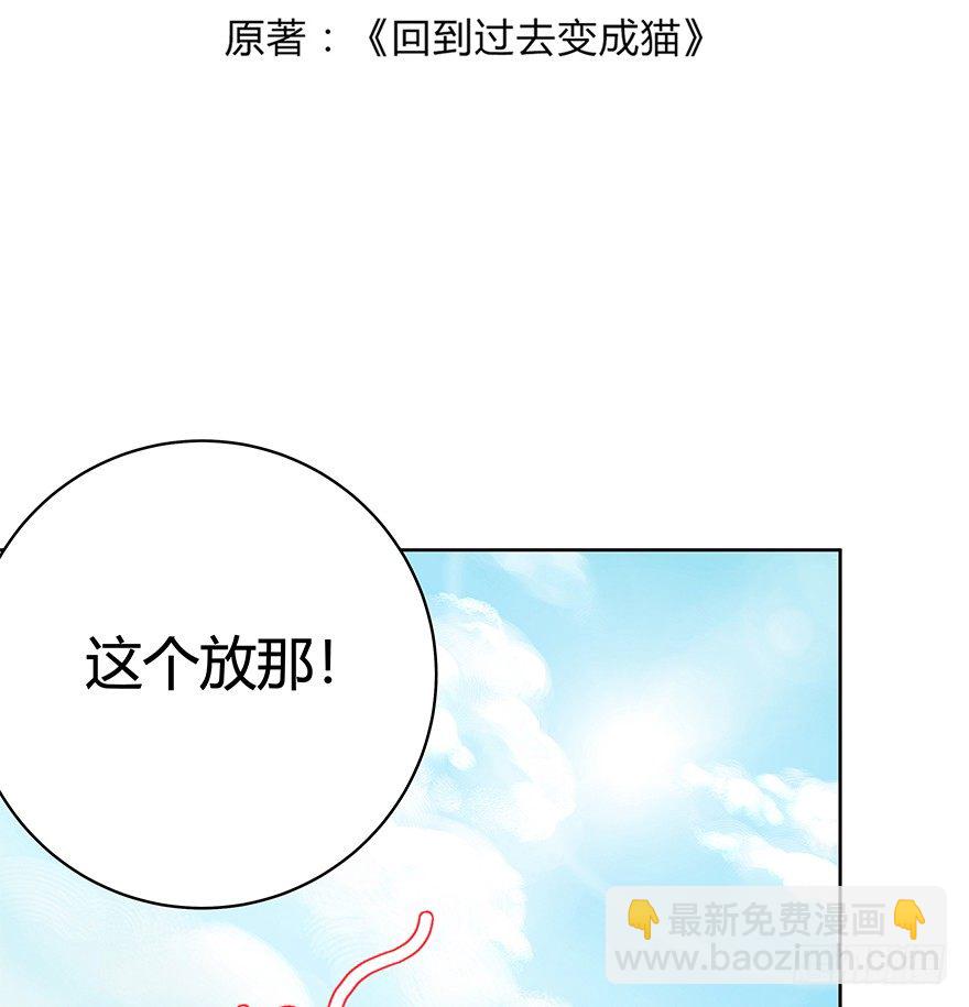 《回到过去变成猫外传》第50爪 送礼（上） 第4页