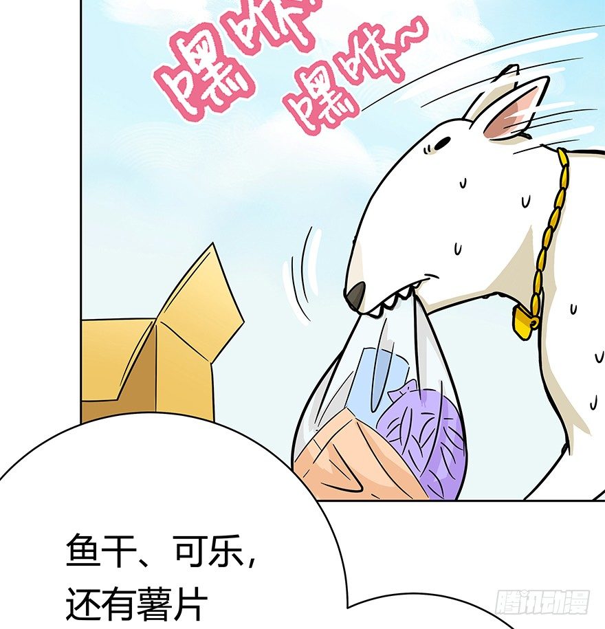 《回到过去变成猫外传》第50爪 送礼（上） 第6页