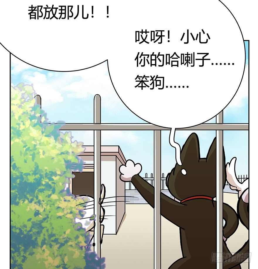《回到过去变成猫外传》第50爪 送礼（上） 第7页