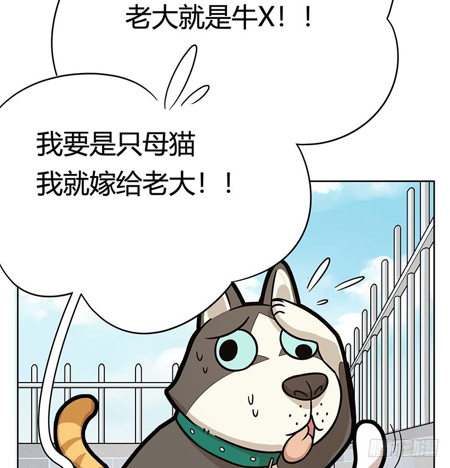 《回到过去变成猫外传》第50爪 送礼（上） 第9页