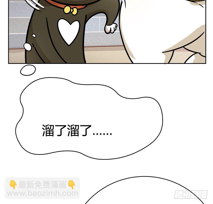 《回到过去变成猫外传》第47爪 强力外援（上） 第10页