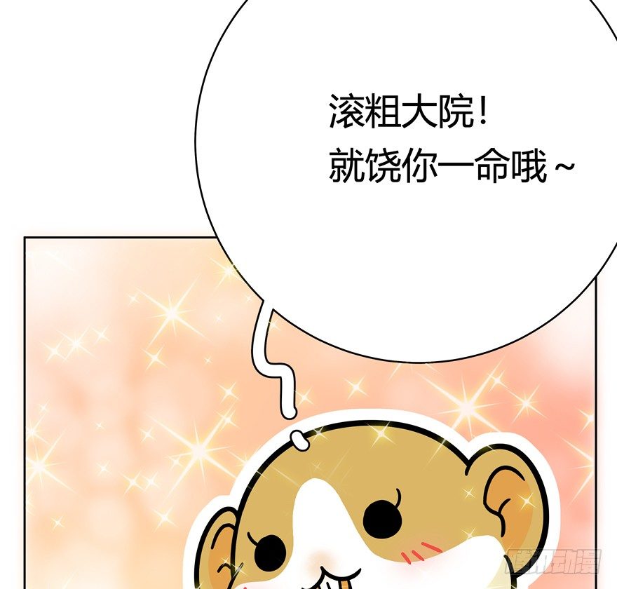 《回到过去变成猫外传》第47爪 强力外援（上） 第11页