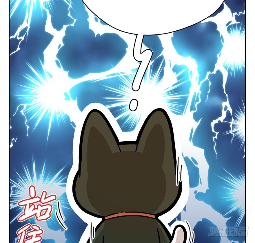 《回到过去变成猫外传》第47爪 强力外援（上） 第13页