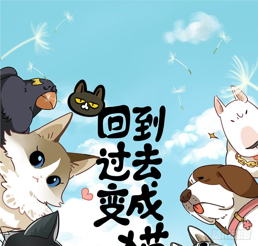 《回到过去变成猫外传》第47爪 强力外援（上） 第1页