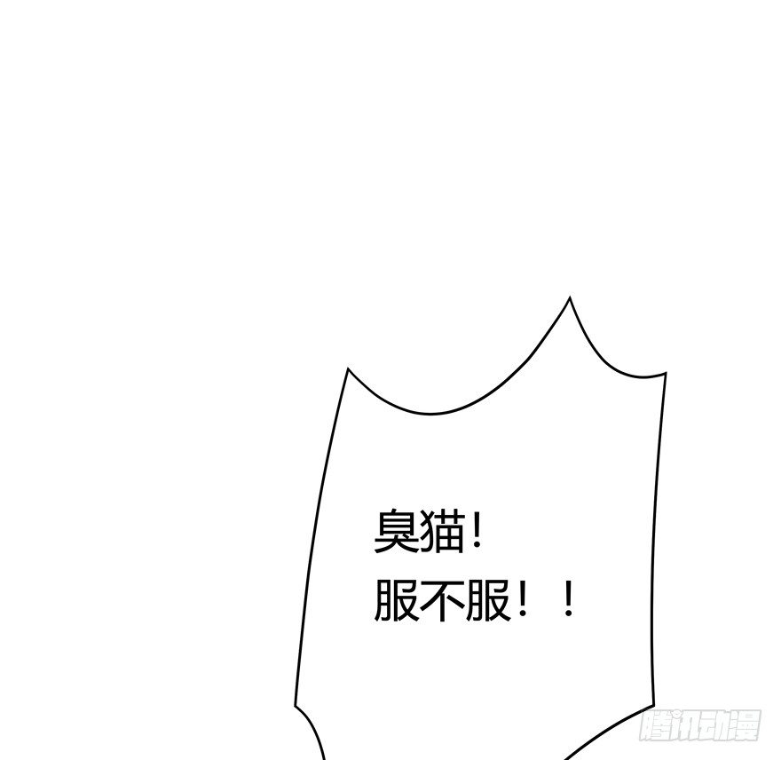 《回到过去变成猫外传》第47爪 强力外援（上） 第25页