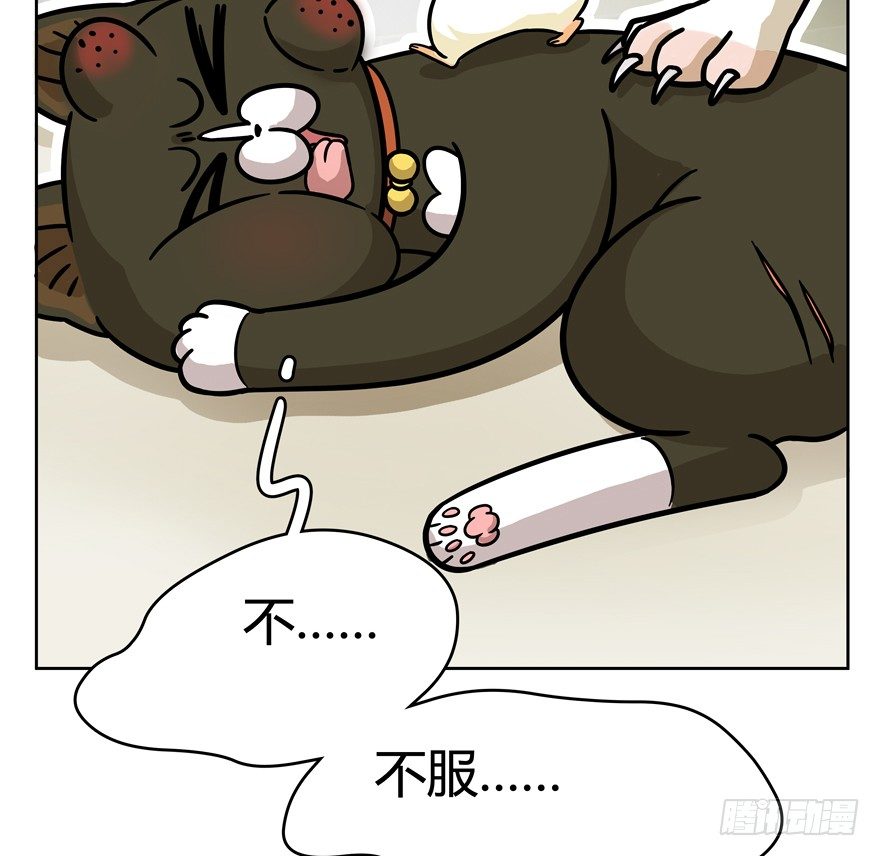 《回到过去变成猫外传》第47爪 强力外援（上） 第27页