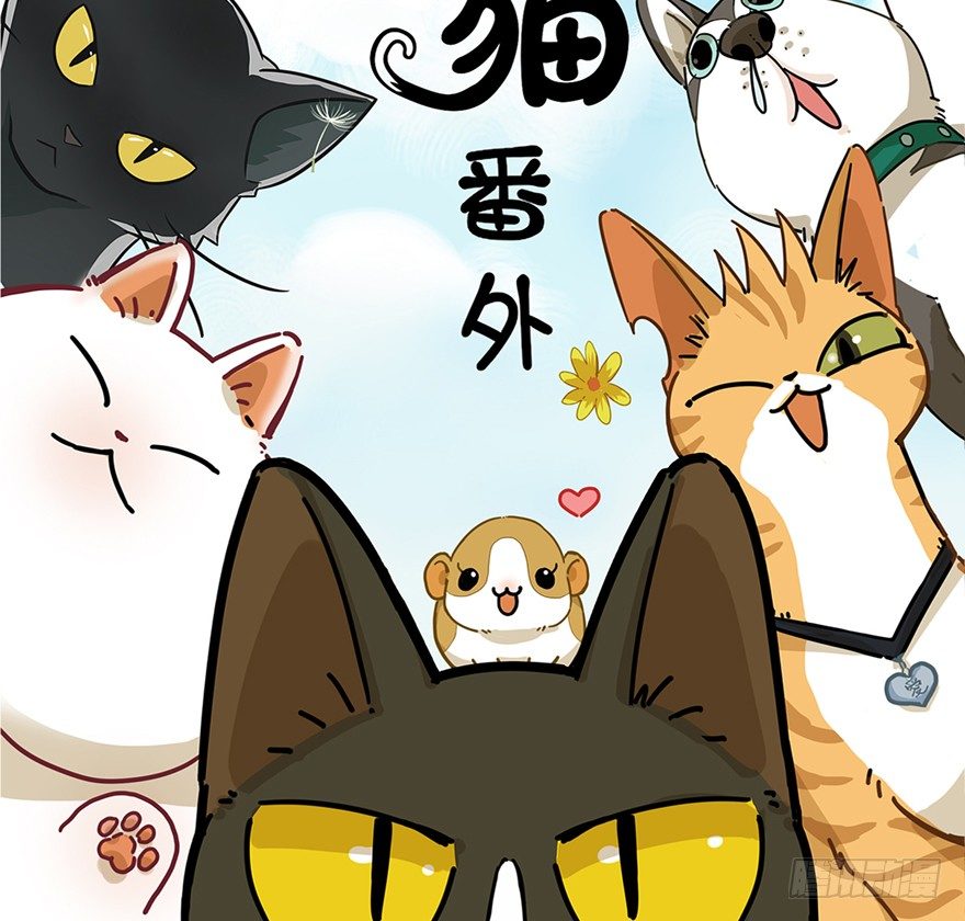 《回到过去变成猫外传》第47爪 强力外援（上） 第2页