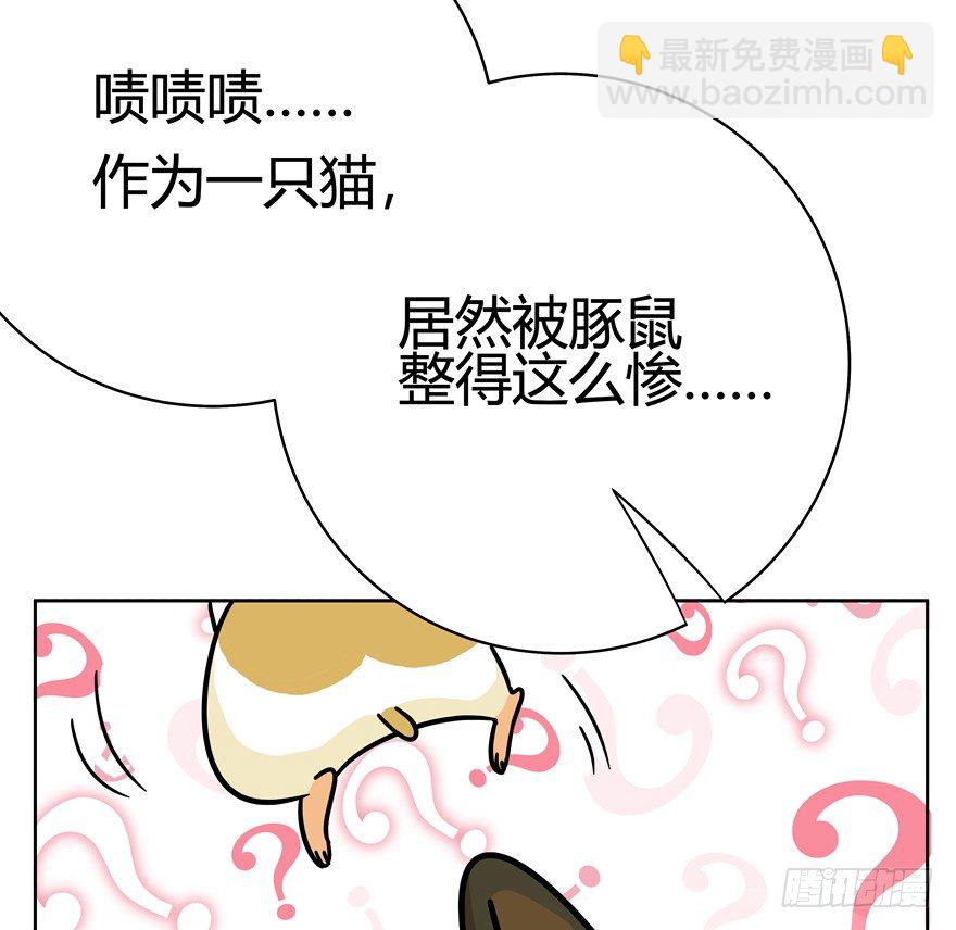 《回到过去变成猫外传》第47爪 强力外援（上） 第32页