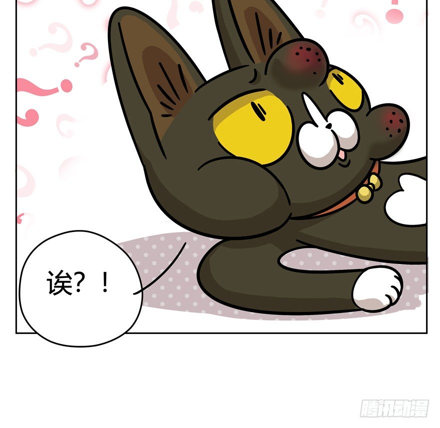 《回到过去变成猫外传》第47爪 强力外援（上） 第33页