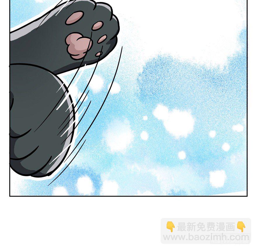 《回到过去变成猫外传》第47爪 强力外援（上） 第38页