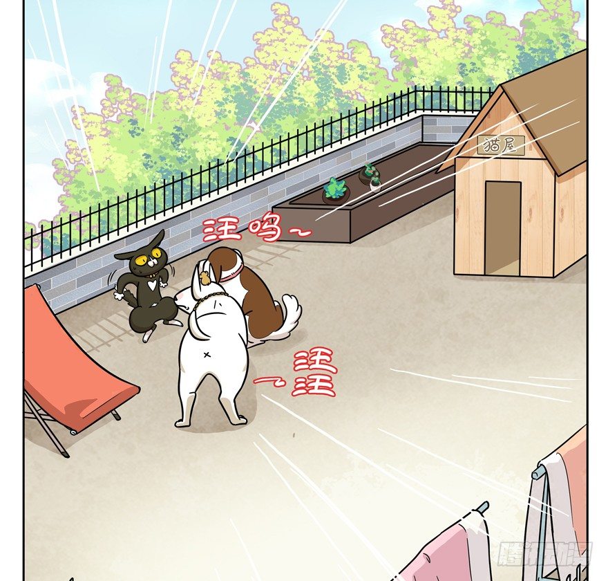 《回到过去变成猫外传》第47爪 强力外援（上） 第5页