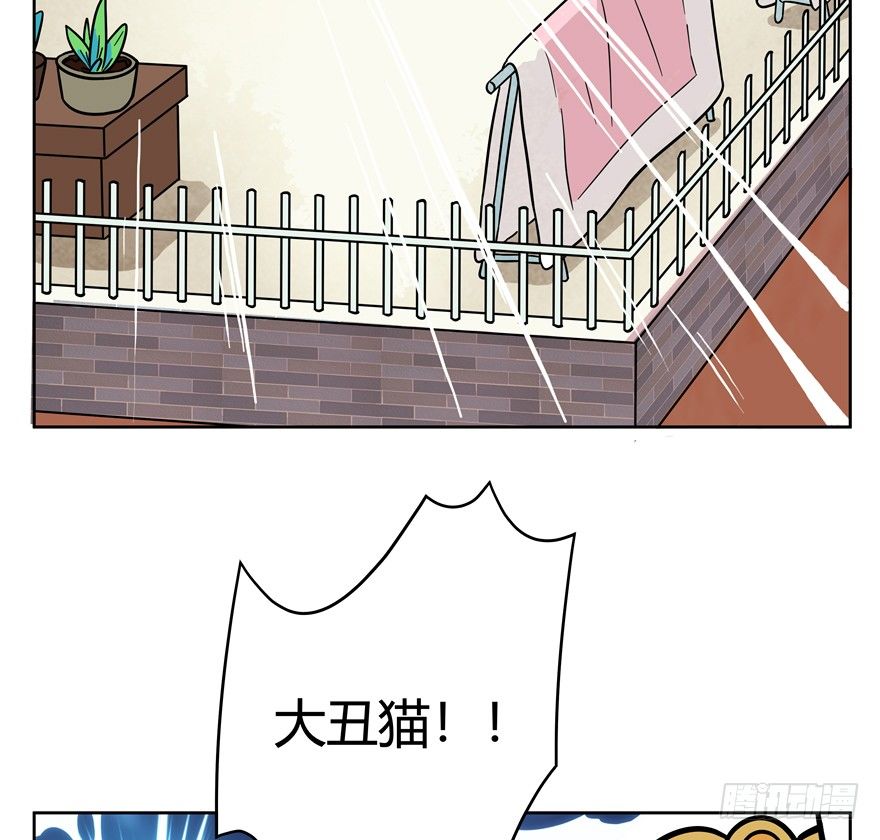 《回到过去变成猫外传》第47爪 强力外援（上） 第6页