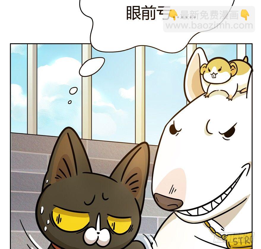 《回到过去变成猫外传》第47爪 强力外援（上） 第9页